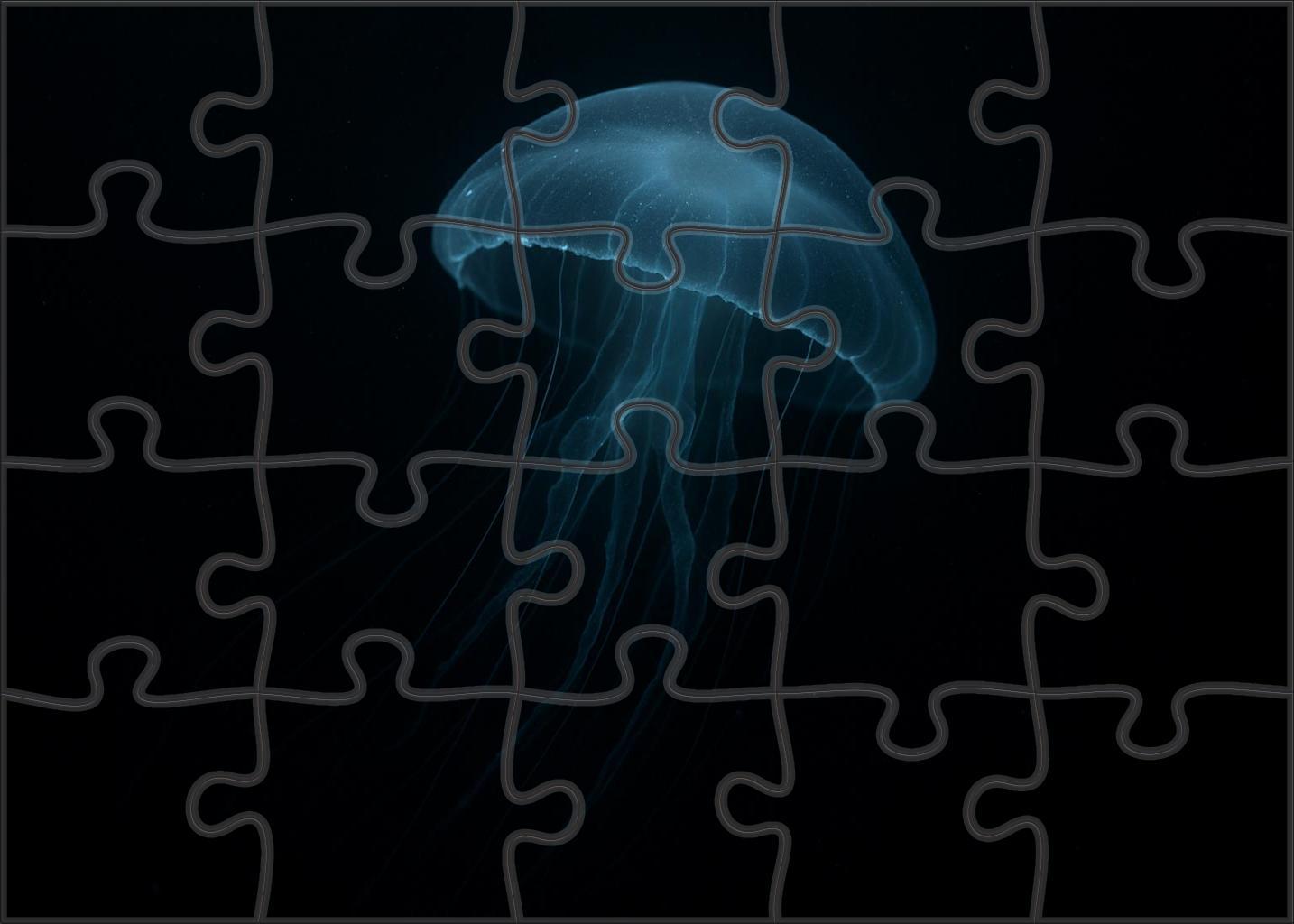 Phantom Jelly Transparent Deep-water Drifter With Pulsing Bioluminescence Puzzle Collection