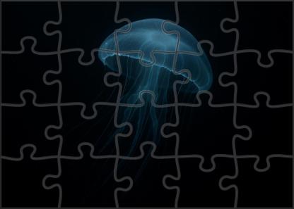 Phantom Jelly Transparent Deep-water Drifter With Pulsing Bioluminescence Puzzle Collection