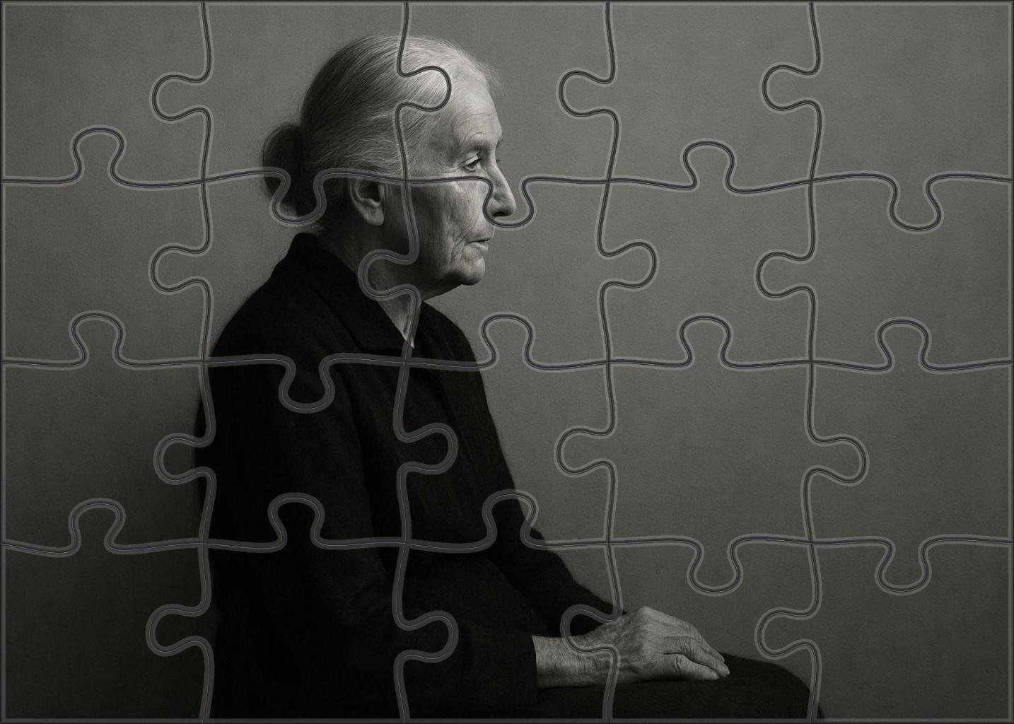 Whistlers Mother Premium Puzzle Pieces