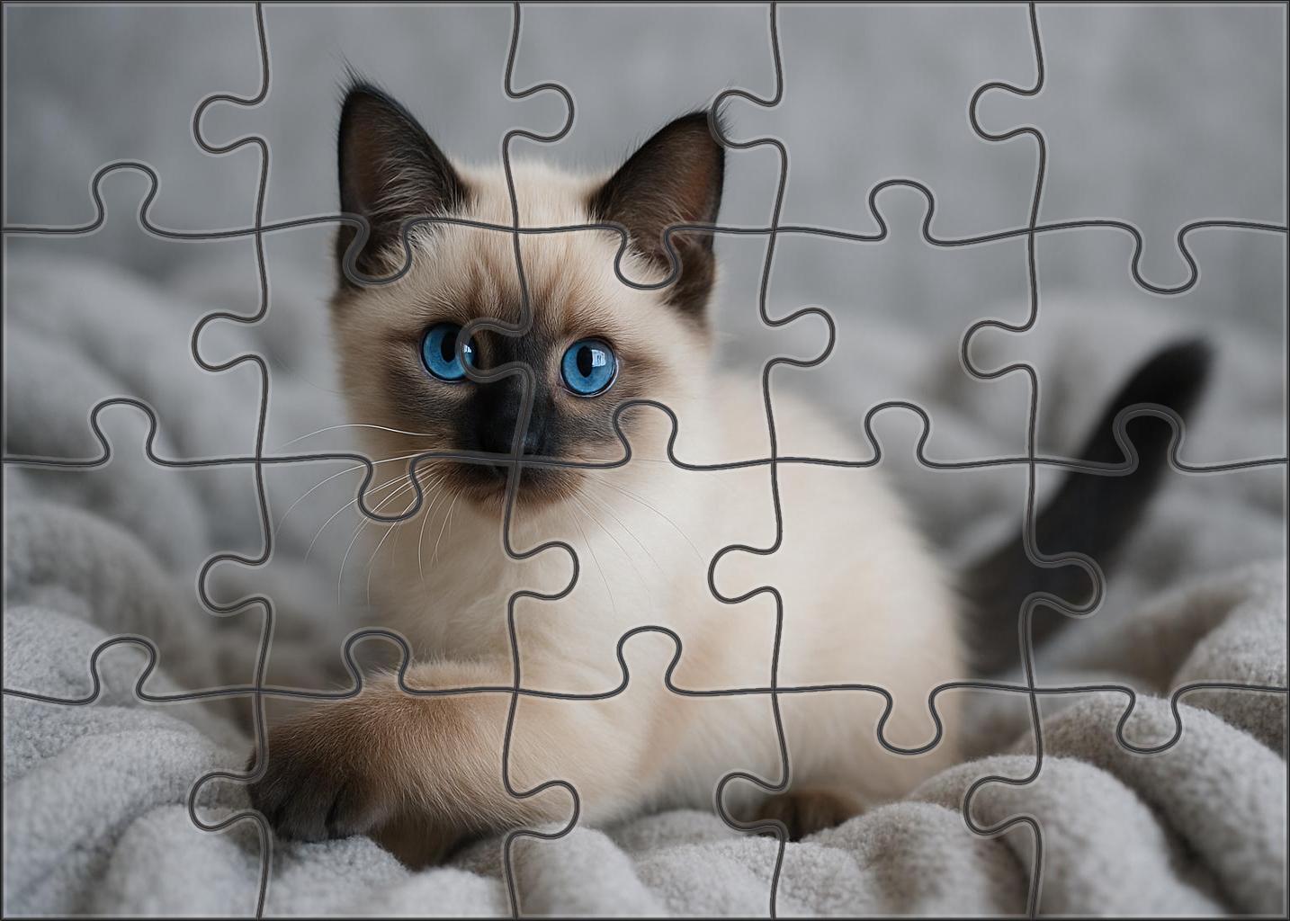 Sapphire Dream 50 Piece Puzzle