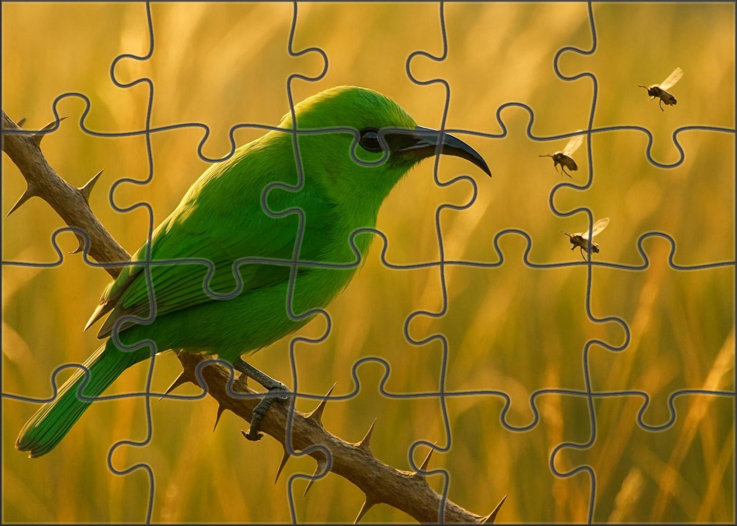 Green Bee-eater Emerald Precision Hunter Family Puzzles