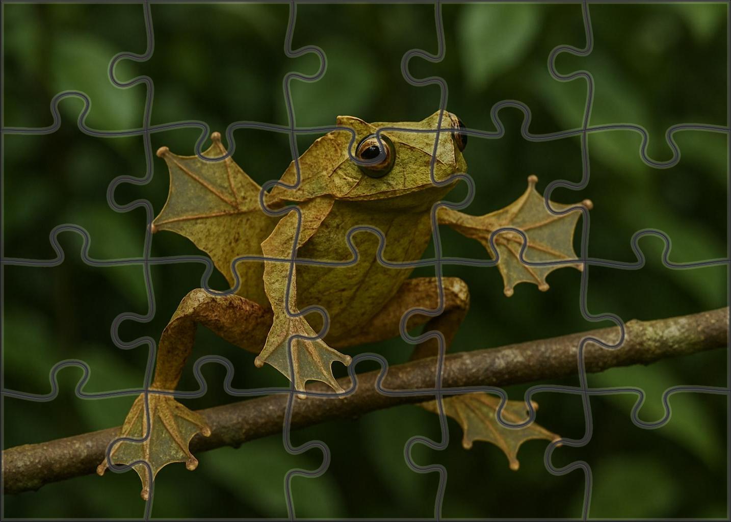 Gliding Leaf-mimic Frog Master Of Camouflage With Webbed Hands 100 Piece Puzzle