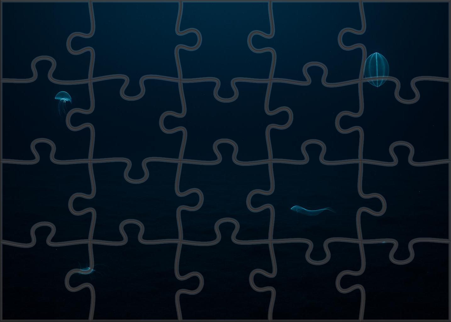 Abyssal Plain Silence Endless Dark Depths Under A Faint Blue Glow 20 Piece Puzzle