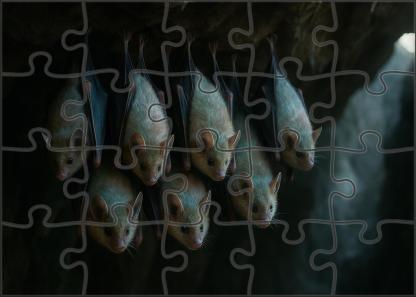 Pearlwing Bat Small Flying Mammal With Iridescent Fur And Echo-communication Custom Jigsaw Puzzle