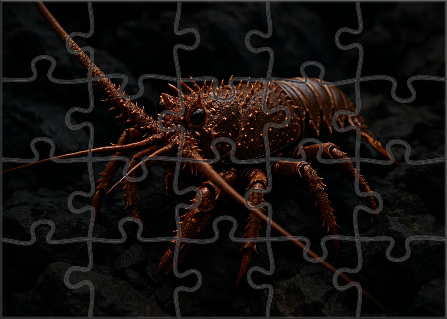 Copper-spined Lobster Hardy Crustacean With Armored Carapace Family Puzzles