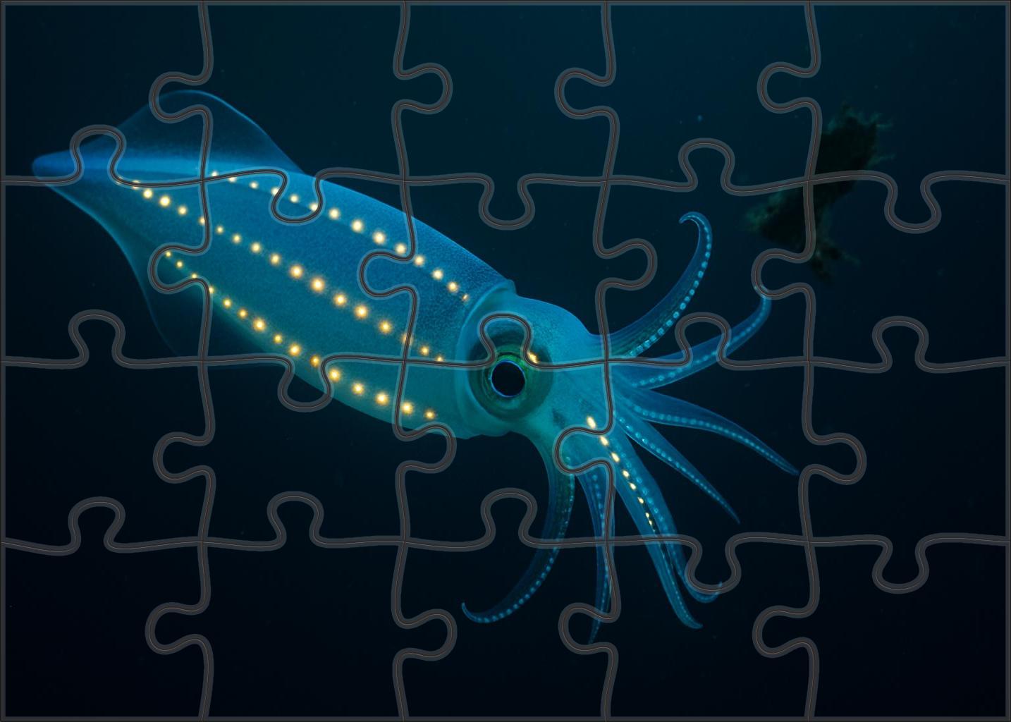 Azure Lantern Squid Bioluminescent Cephalopod With Twinkling Photophores Mini Puzzle