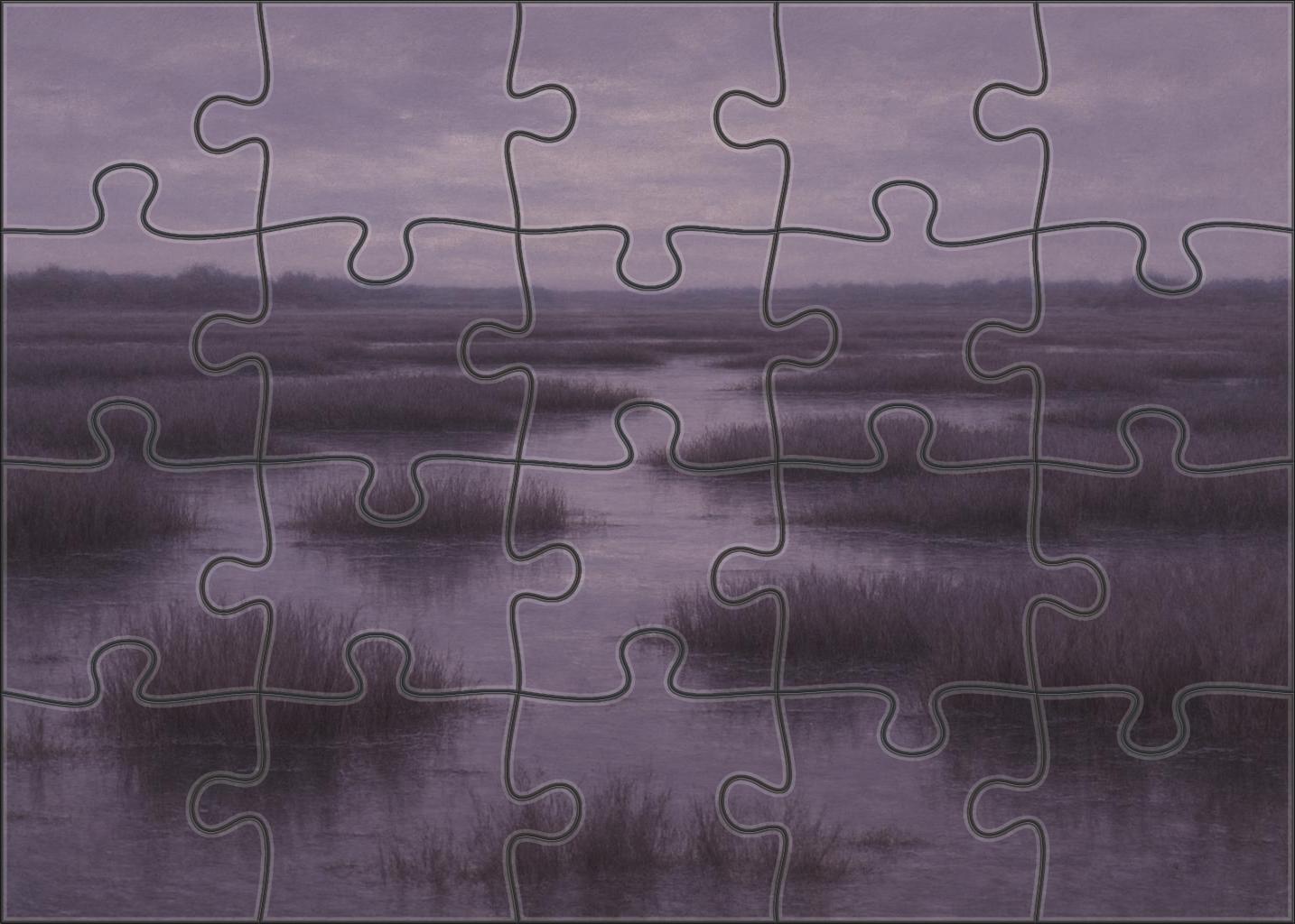 Dusky Marshland Expanse Puzzle Fun