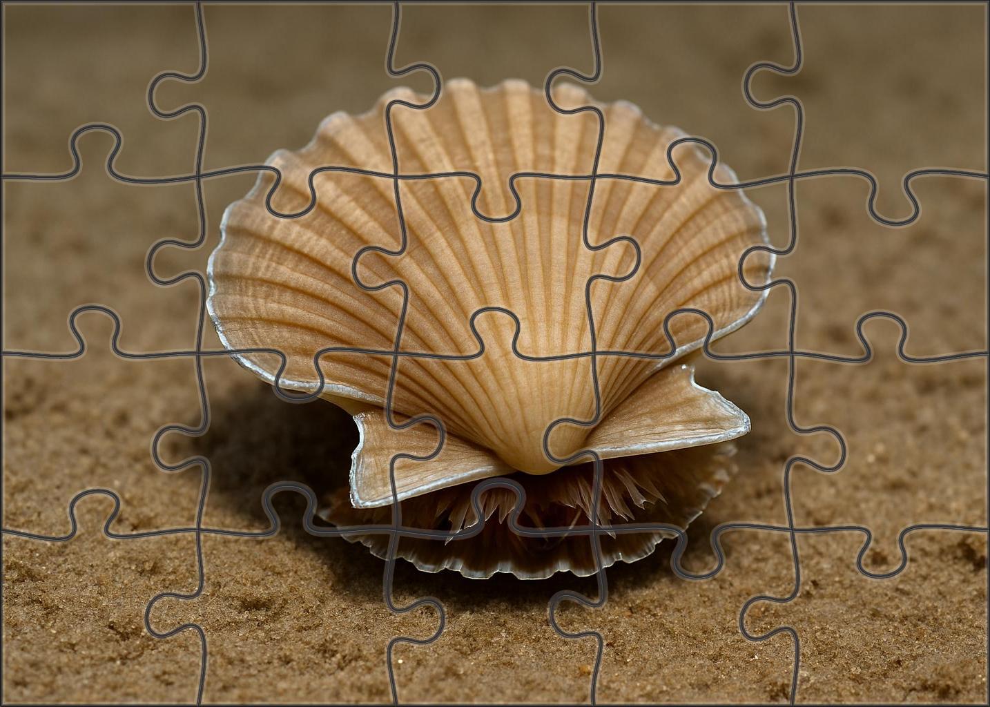 Silver Leaf Scallop Filter-feeding Mollusk With Reflective Shell Edges Mini Puzzle