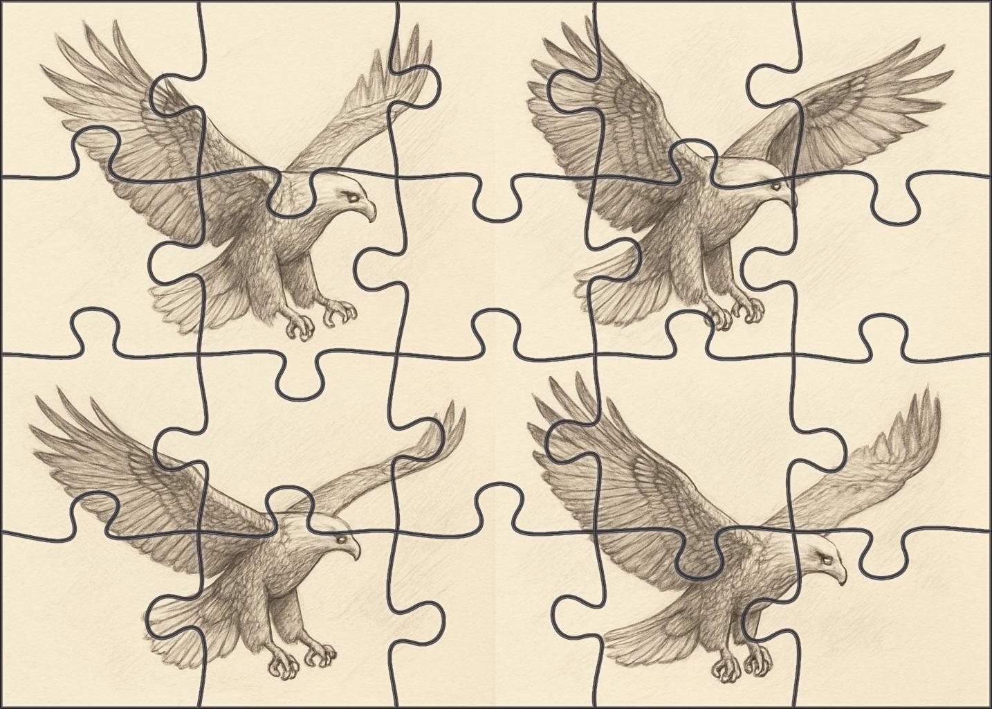 Narrative Wildlife Moment Sequential Pencil Sketches Of Soaring Eagle Family Puzzles