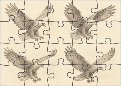 Narrative Wildlife Moment Sequential Pencil Sketches Of Soaring Eagle Family Puzzles