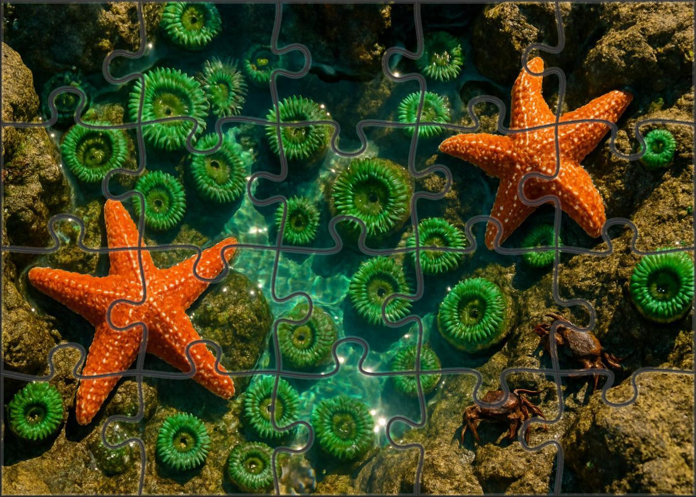 Ivory Tide Pools Custom Jigsaw Puzzle