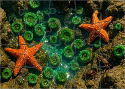 Ivory Tide Pools Custom Jigsaw Puzzle