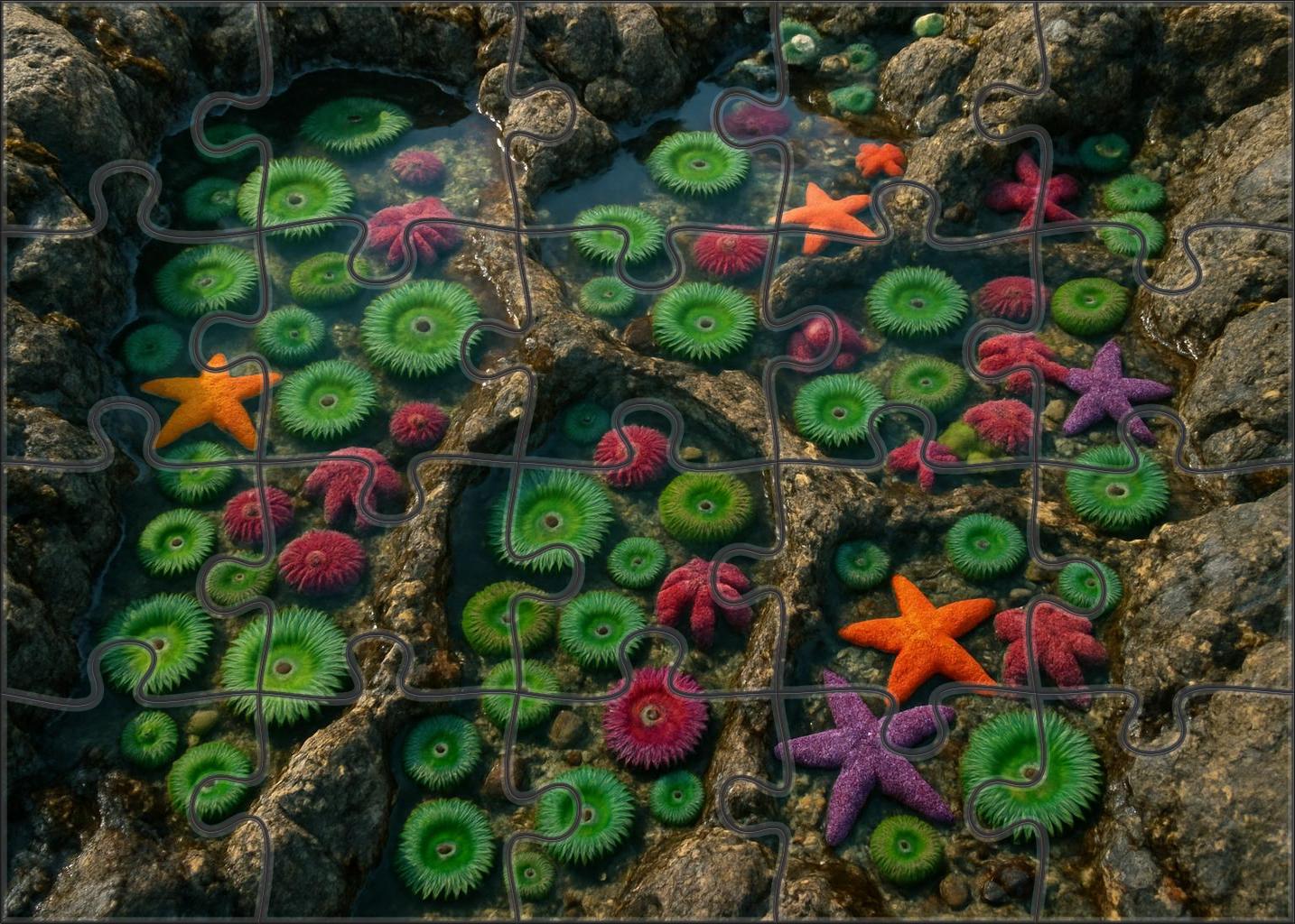 Tidal Rock Pool Mosaic Puzzle For Adults