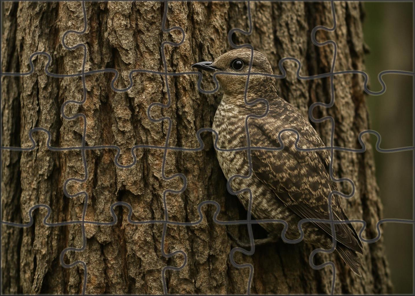 Marbled Murrelet Forest Sea Visitor Premium Puzzle Pieces
