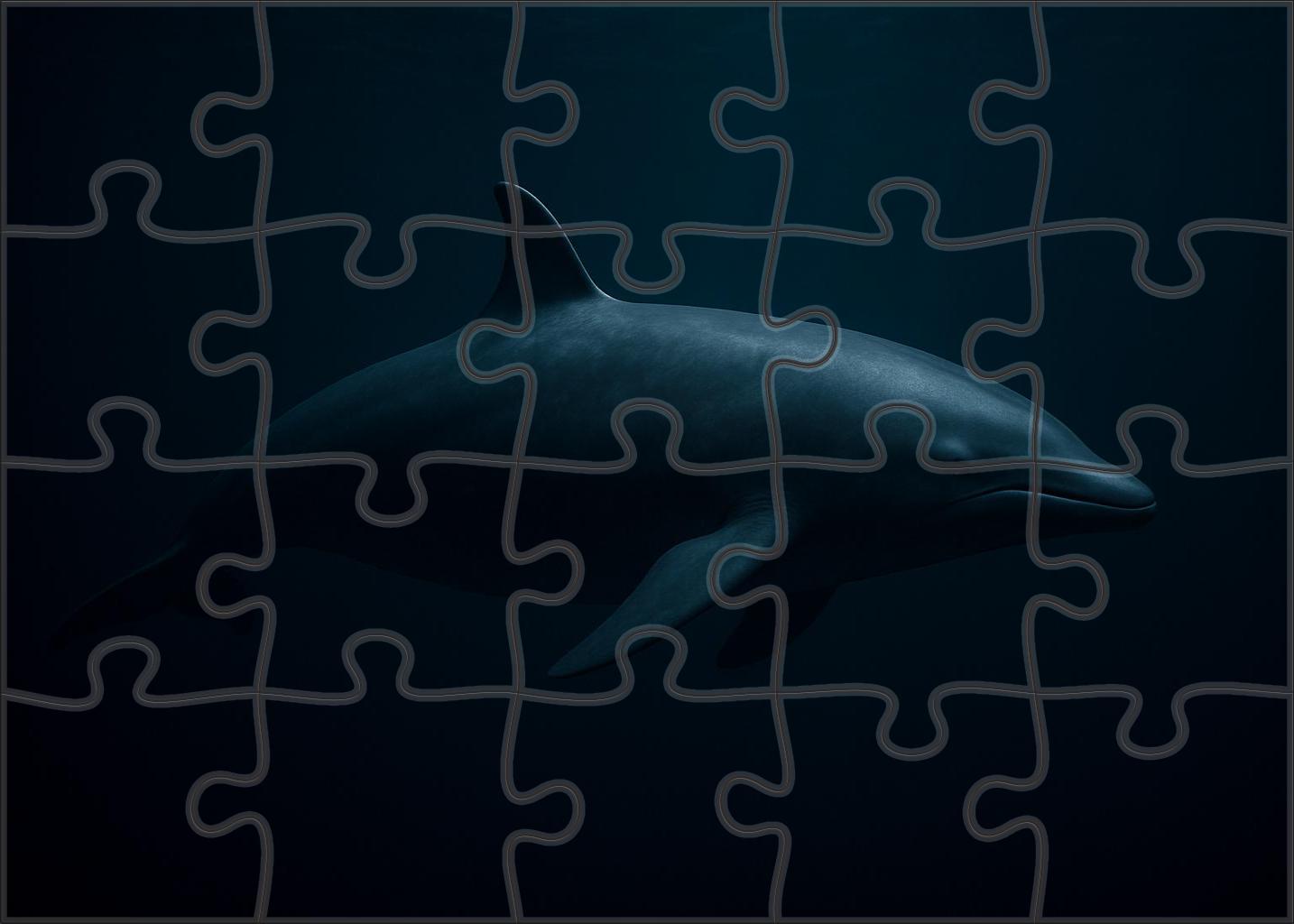 Dusky Fin Whaler Deep-water Solitary Cetacean Puzzle Fun