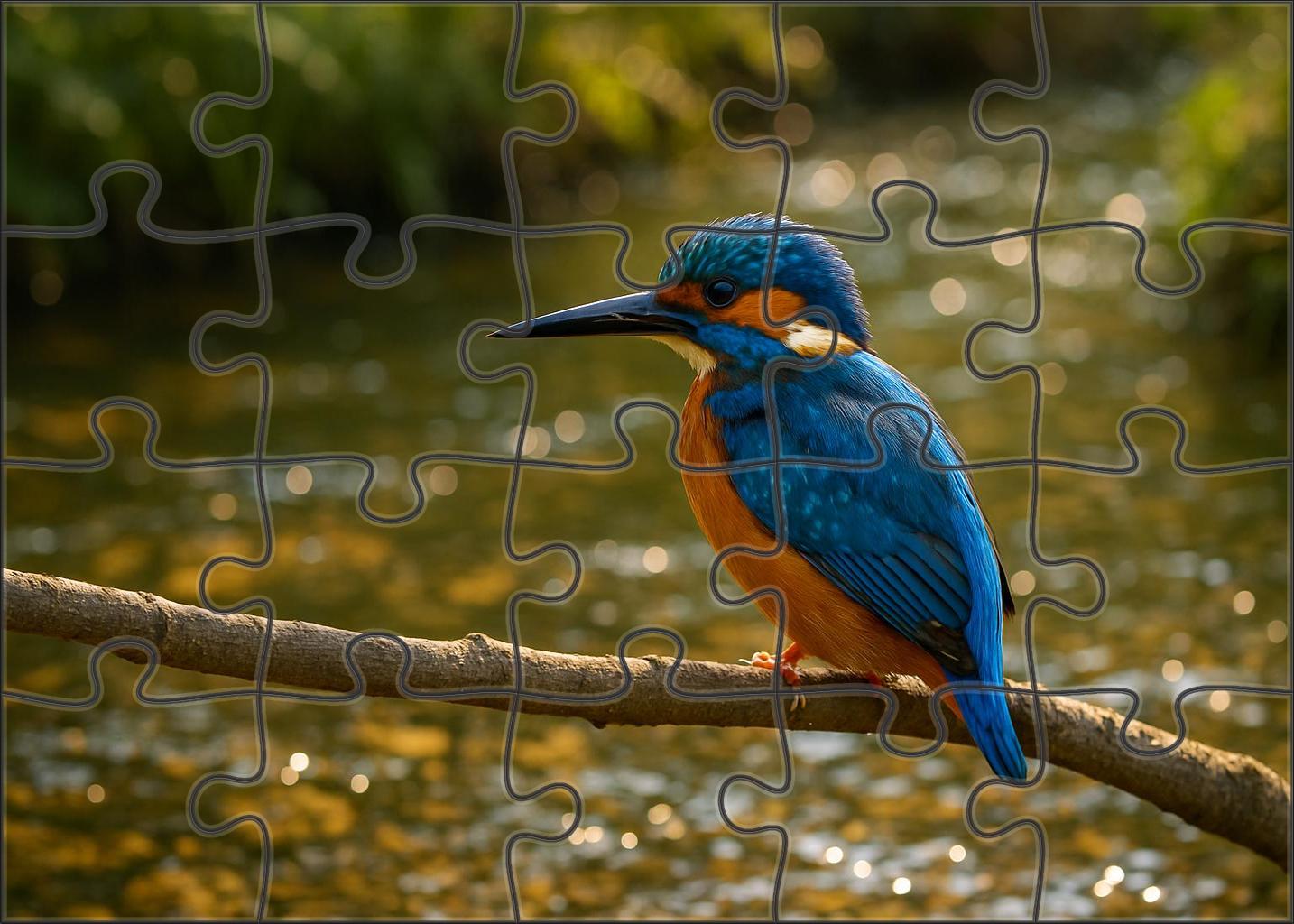 Azure Kingfisher Jewel Of The Waterways Puzzle Fun