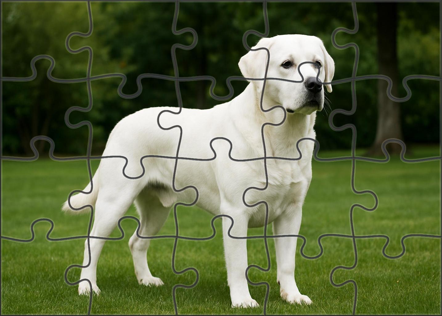 Ivory Shield Large Format Puzzle