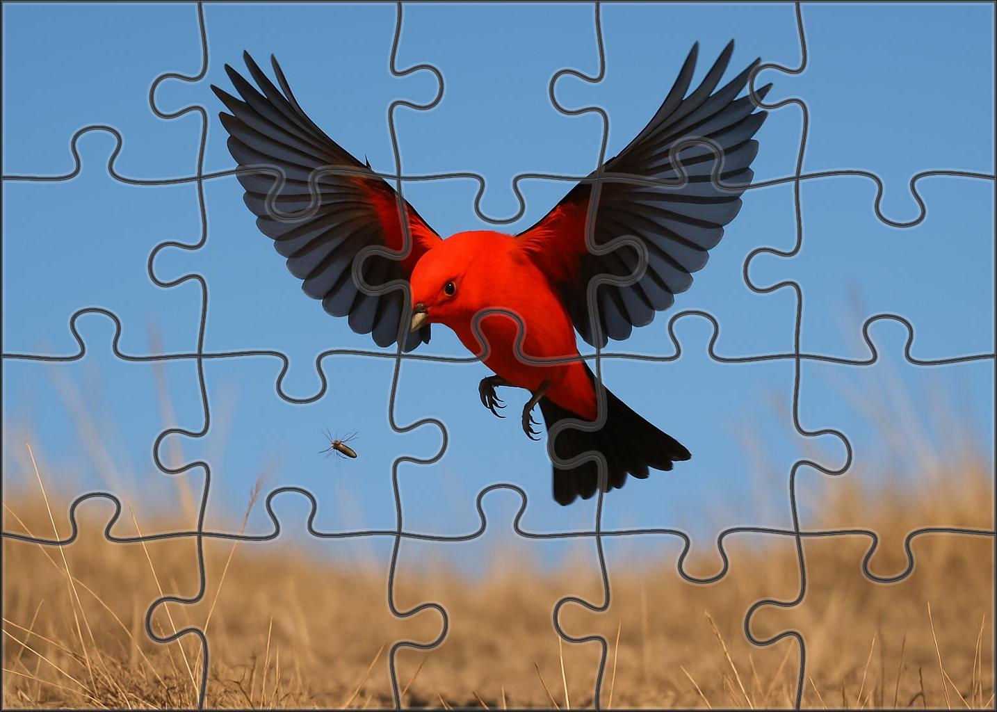 Vermilion Flycatcher Scarlet Flash Of Open Plains Family Puzzles