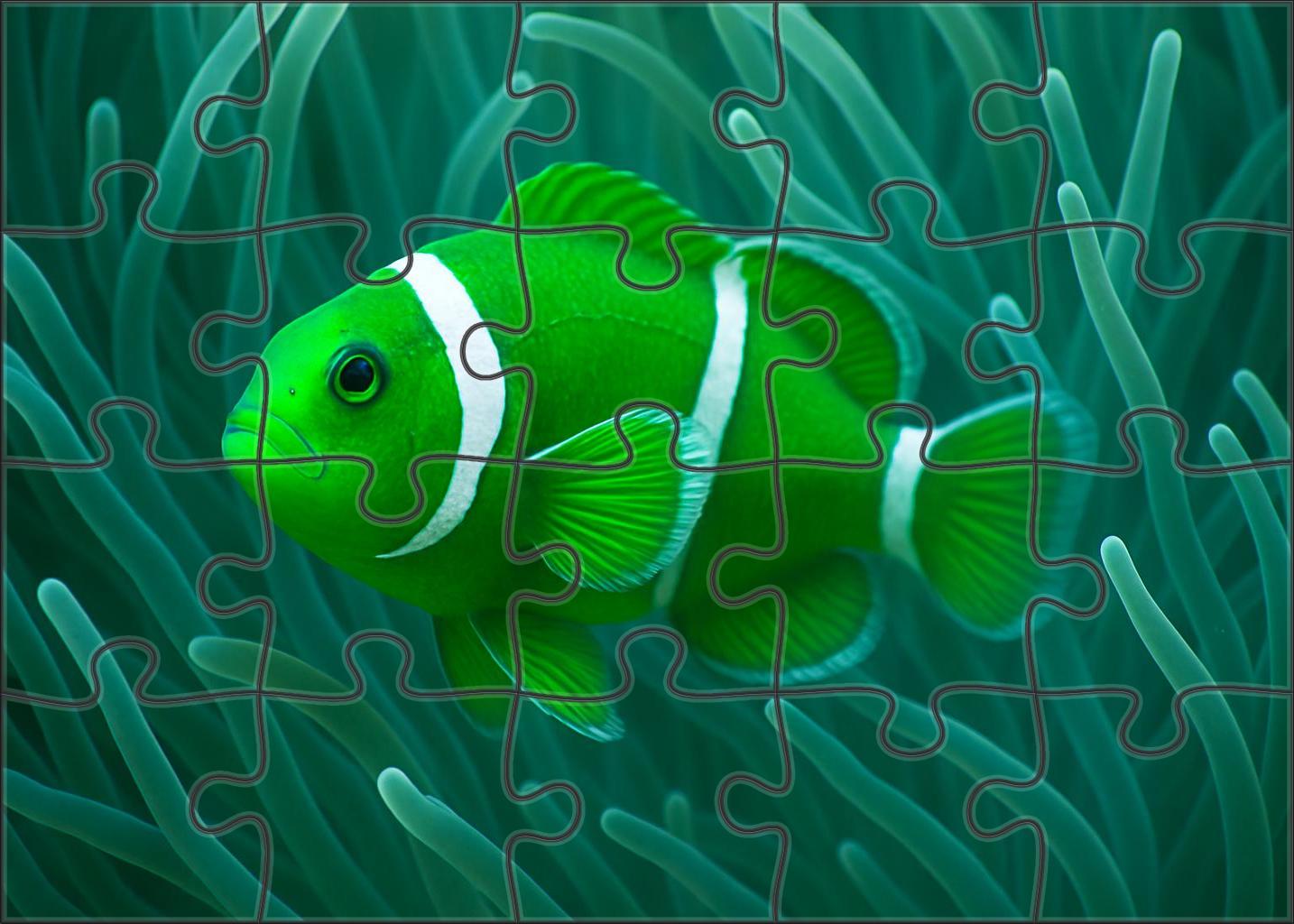 Jade-tinted Anemonefish 20 Piece Puzzle