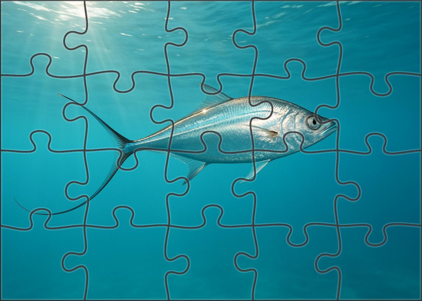 Silver Fin Whiptail Agile Open-water Predator 1000 Piece Puzzle