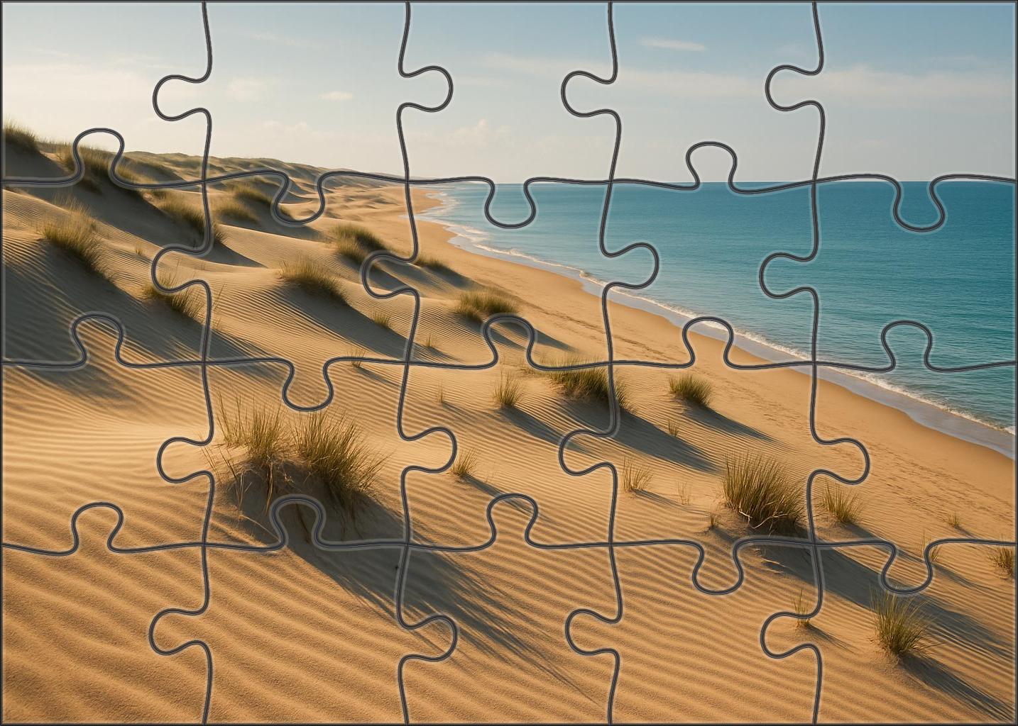 Silent Dunes Sanctuary Puzzle Challenge
