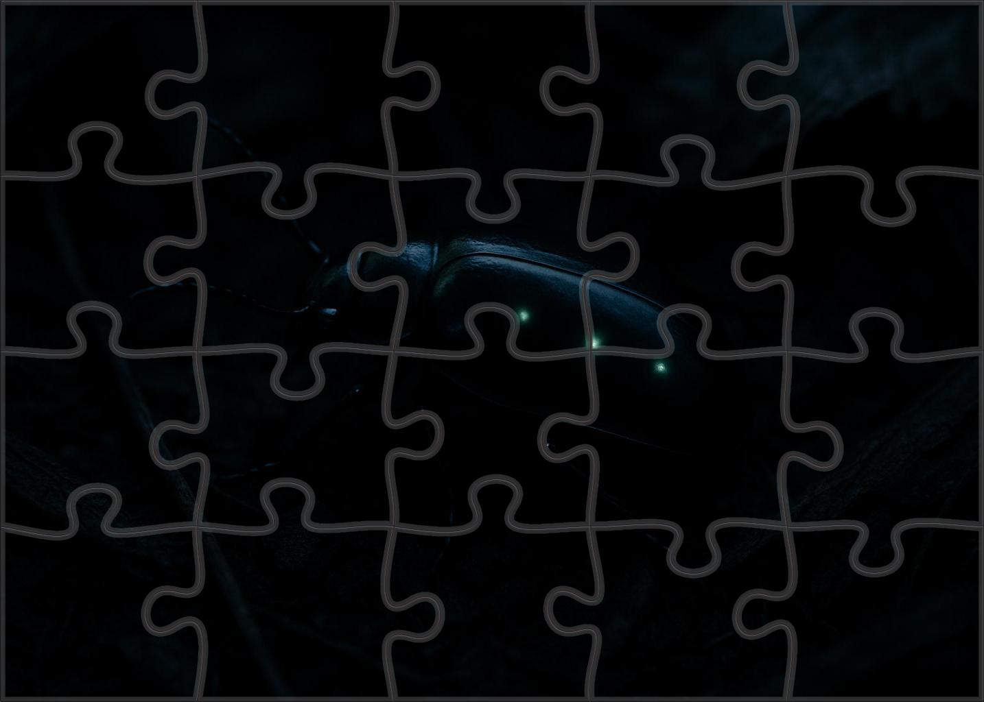 Obsidian Sprawler Stealthy Nocturnal Insect With Matte Black Armor Mini Puzzle