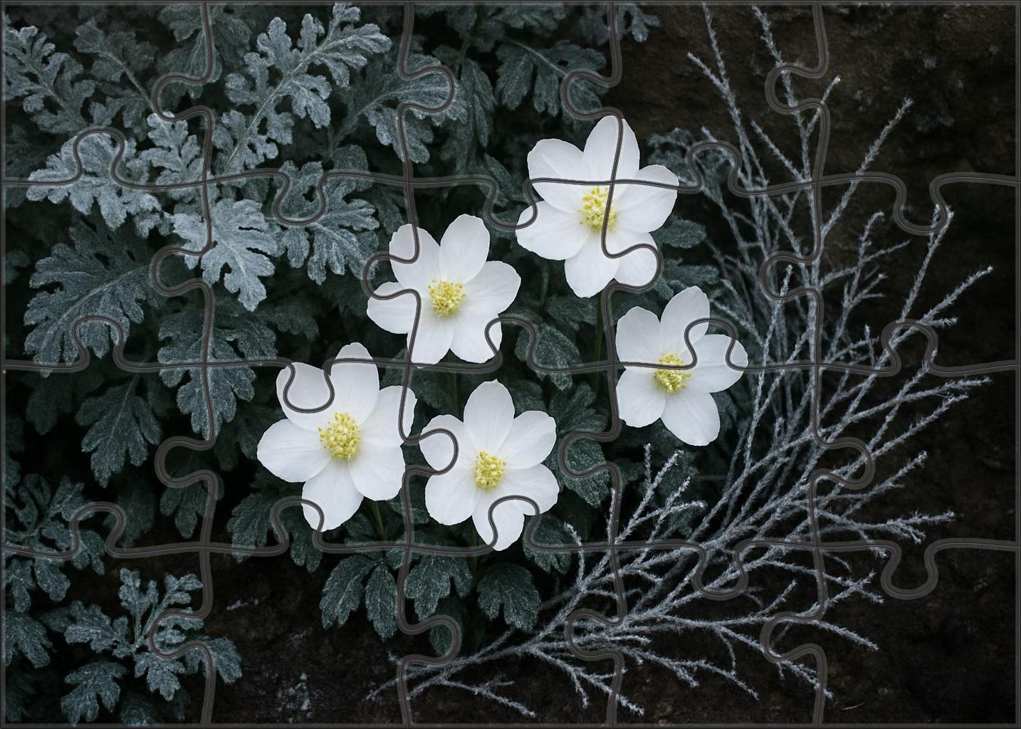 Winter Frost Garden Nook 50 Piece Puzzle