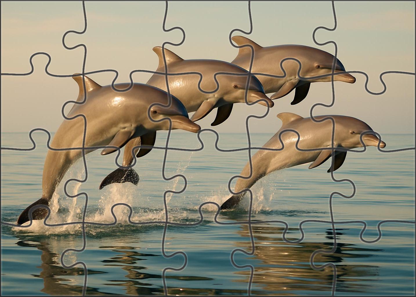 Dusky Reef Dolphin Agile Social Swimmer 1000 Piece Puzzle