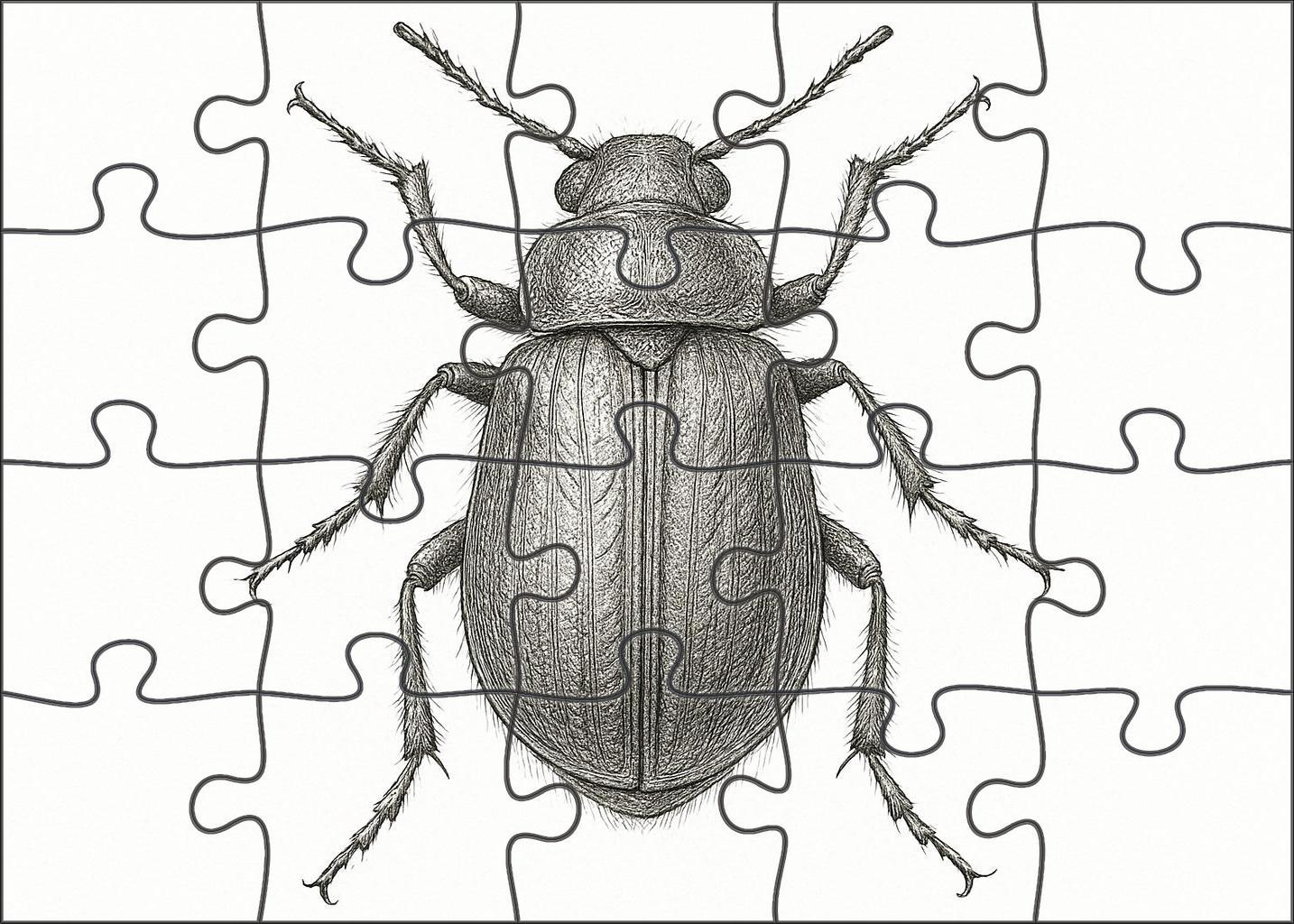 Intricate Insect Anatomy Study Technical Pen Drawing With Fine Detailing Large Format Puzzle