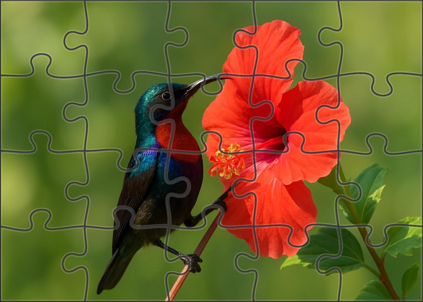 Copper-throated Sunbird Jewel Of The Blossoms Premium Puzzle Pieces