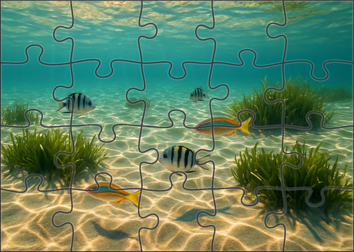 Golden Sunlit Shoals Warm Shallow Waters Brimming With Life 200 Piece Puzzle