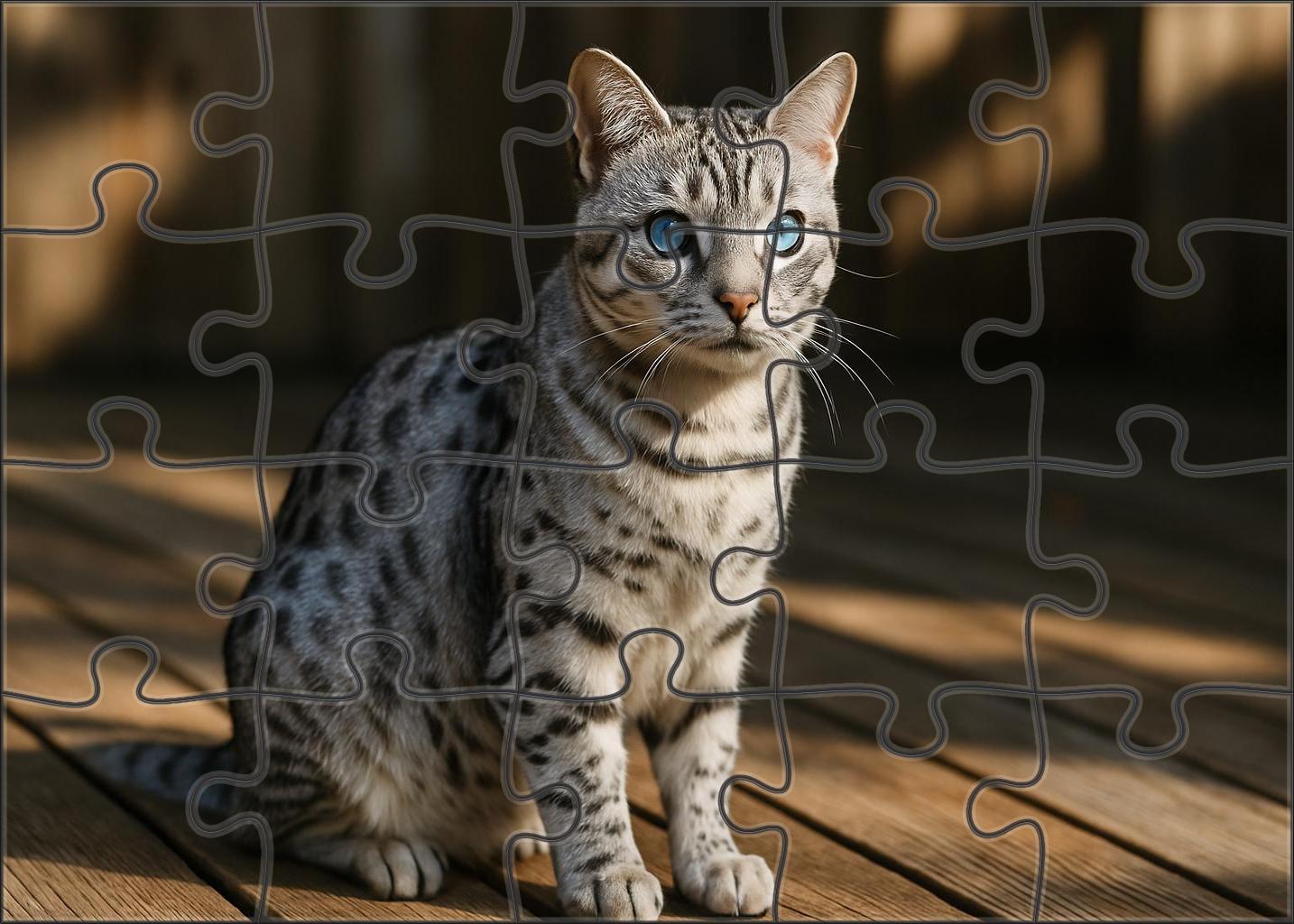 Silver Quill Elegant Shorthair With Brilliant Dappled Fur Puzzle Challenge
