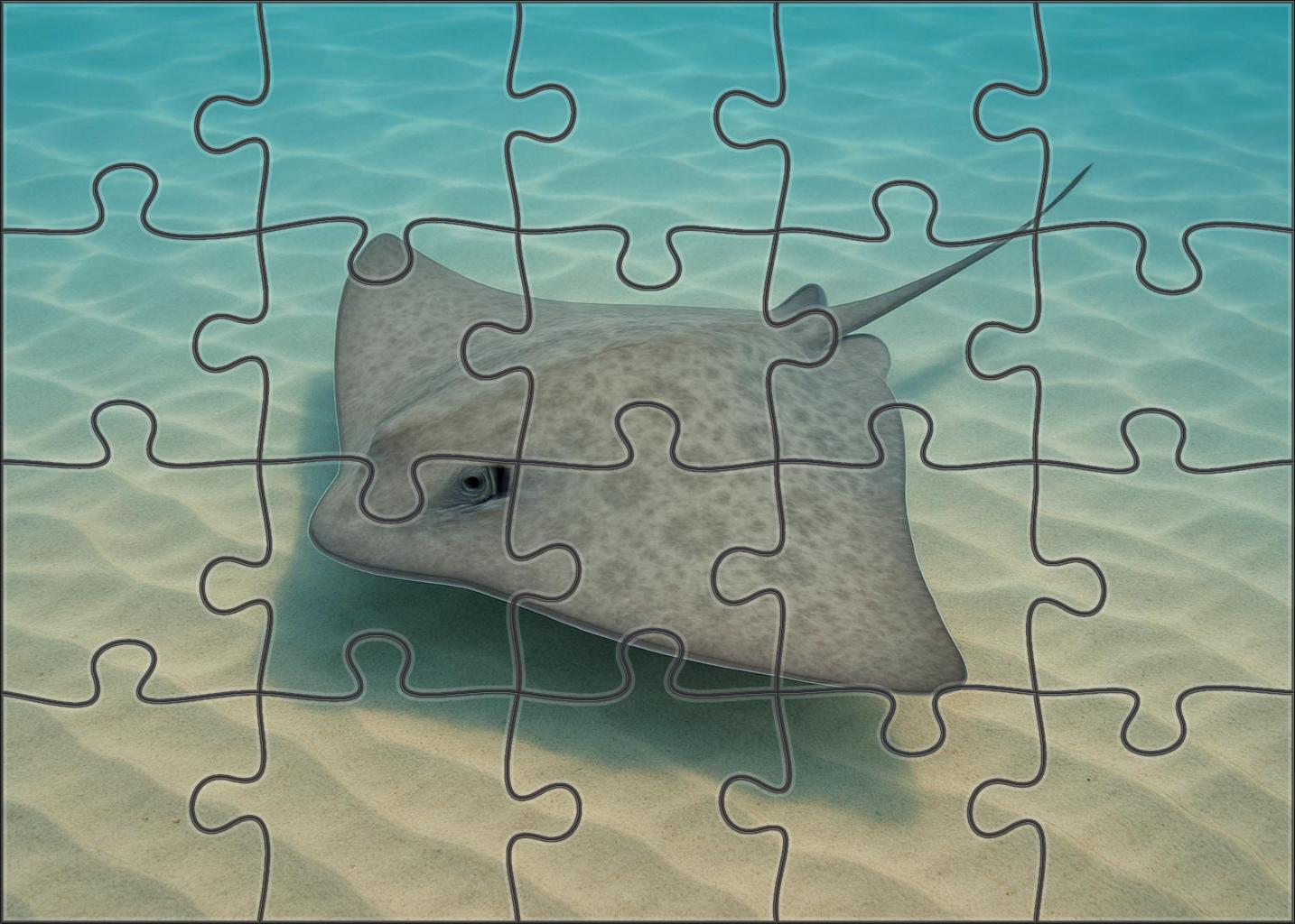 Dusky Wave Ray Broad-winged Filter-feeder With Subtle Patterning Mini Puzzle