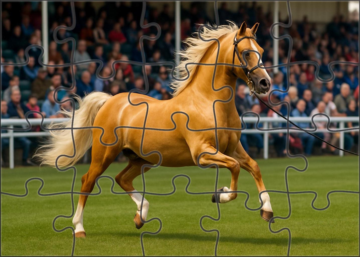 Golden Dawn Hackney Pony 1000 Piece Puzzle