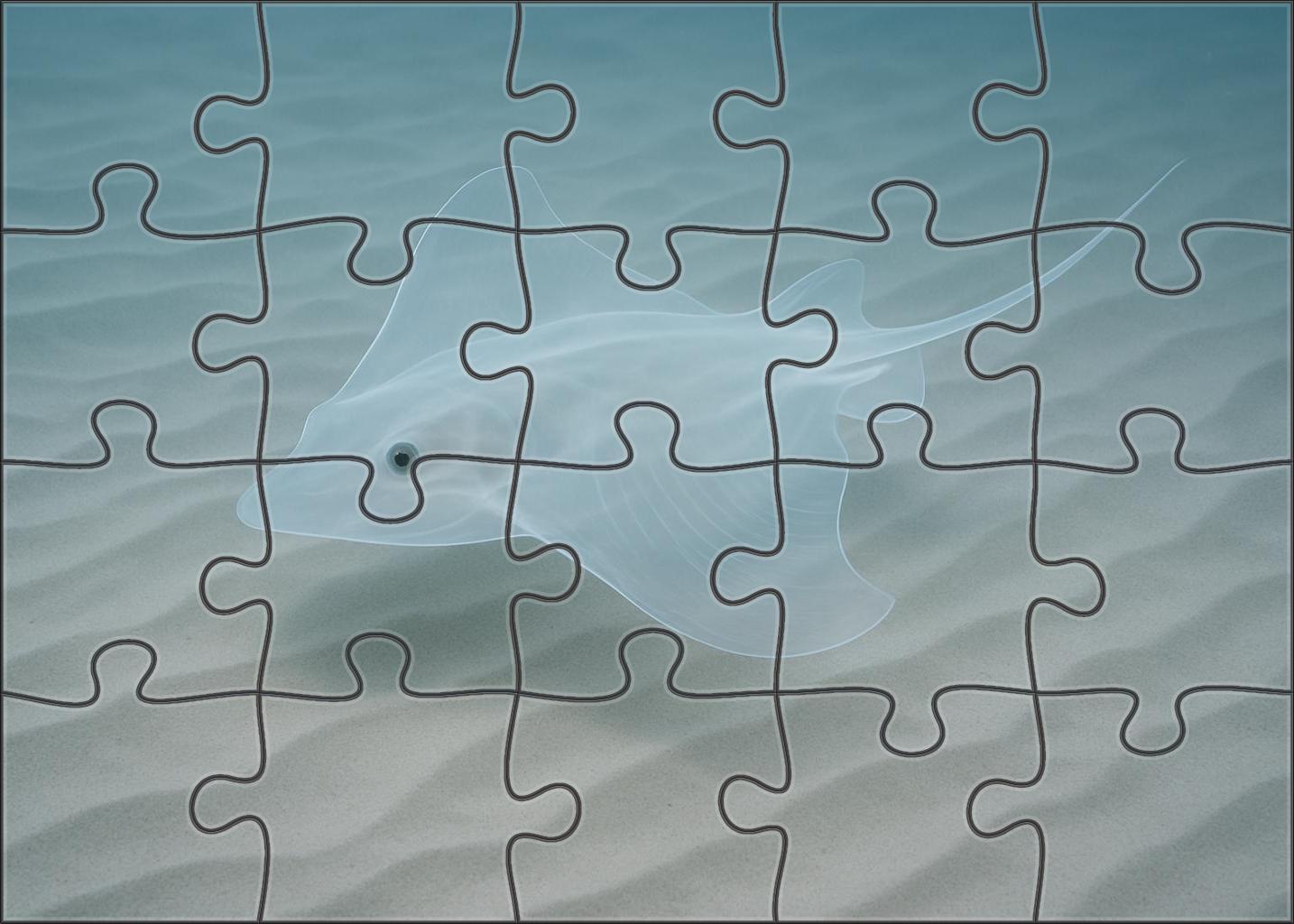 Ghost Glider Ray Ethereal Flat-bodied Filter-feeder With Transparent Fins Mini Puzzle