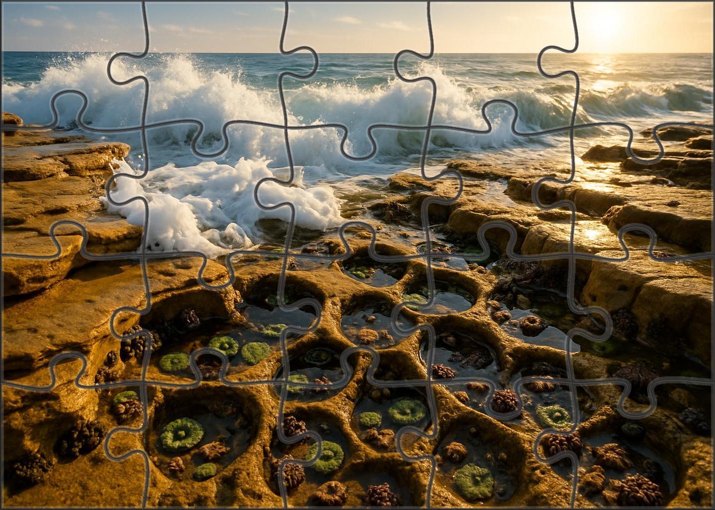 Golden Wave Shelf Puzzle For Adults