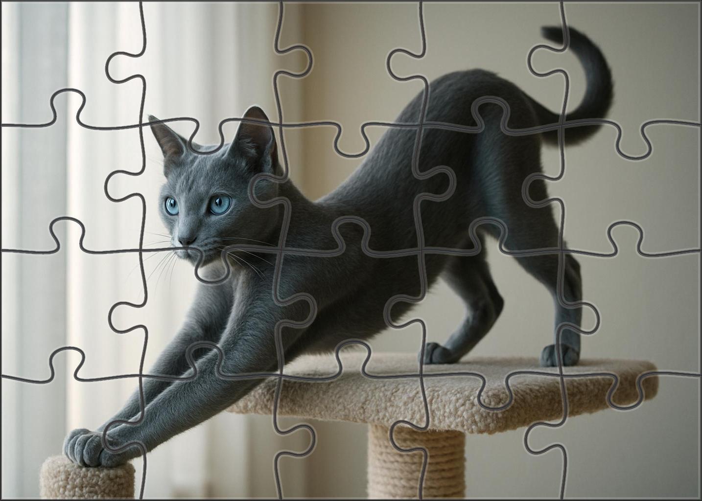 Cloud Dancer Pale Blue-gray Shortcoat With Agile Spirit Unique Puzzle Design