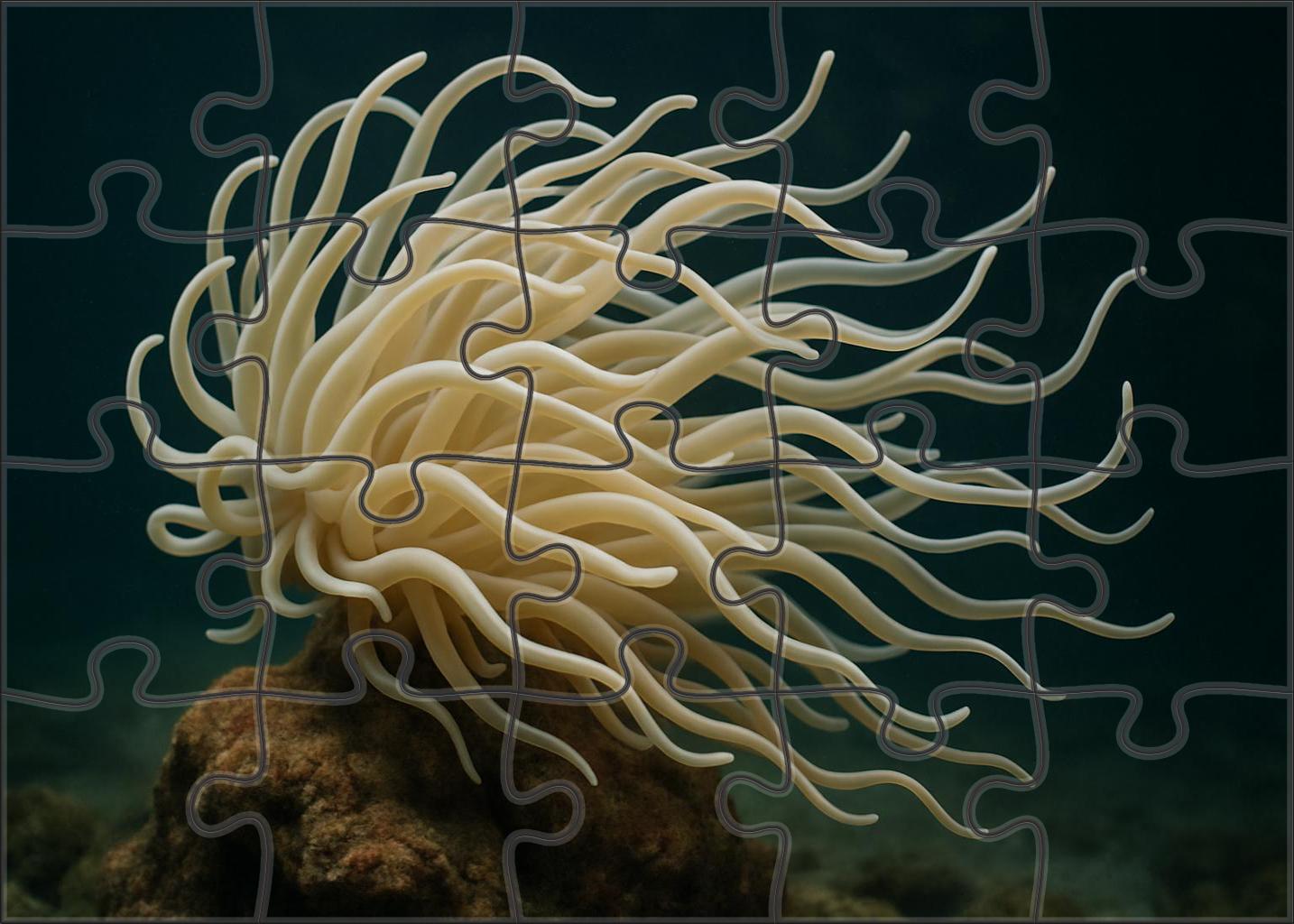 Ivory Tentacle Anemone Elegant Cnidarian With Flowing Appendages Mini Puzzle