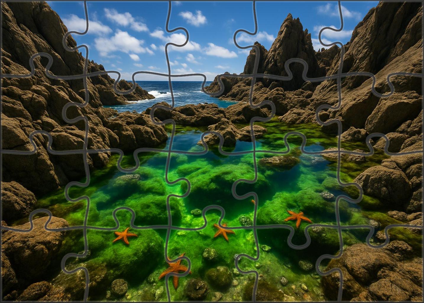 Emerald Tide Pool Sanctuary 50 Piece Puzzle
