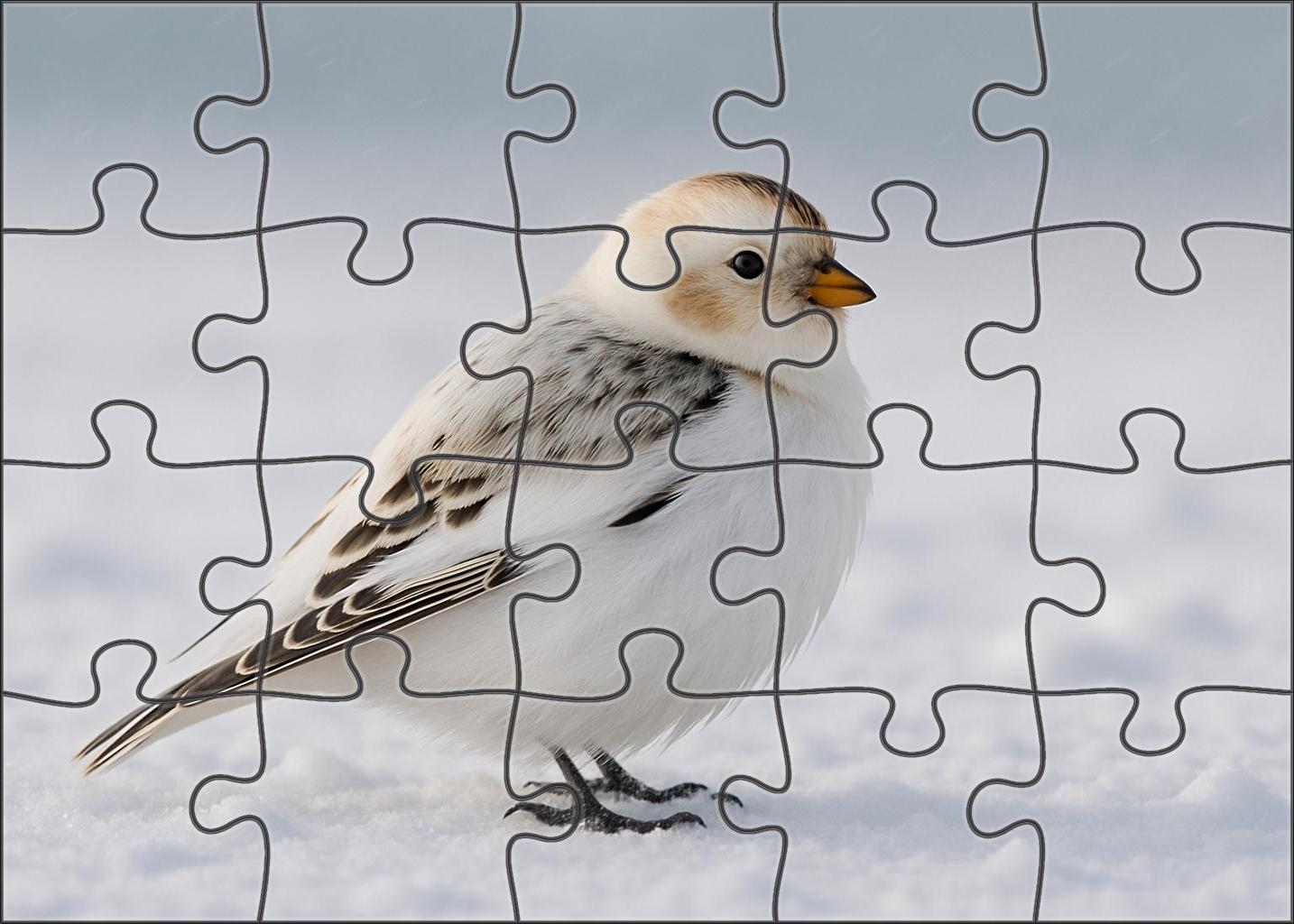 Snow Bunting Arctic's Hardy Winter Wanderer Puzzle For Kids