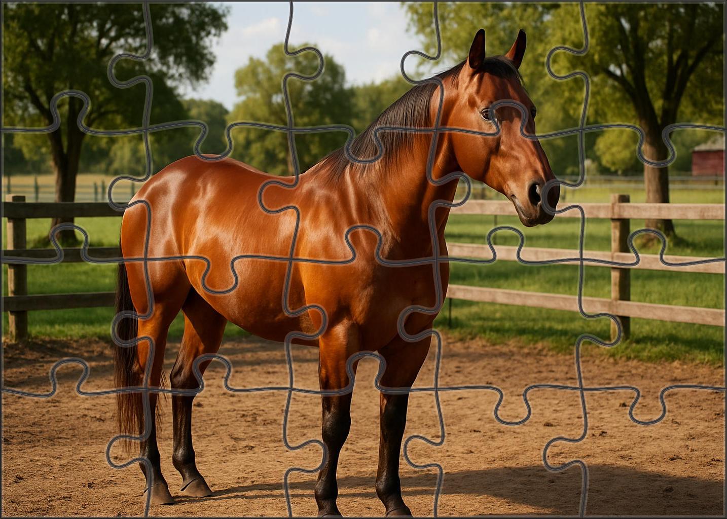 Golden Sunrise Quarter Horse Classic Bay With Exceptional Versatility Puzzle Collection