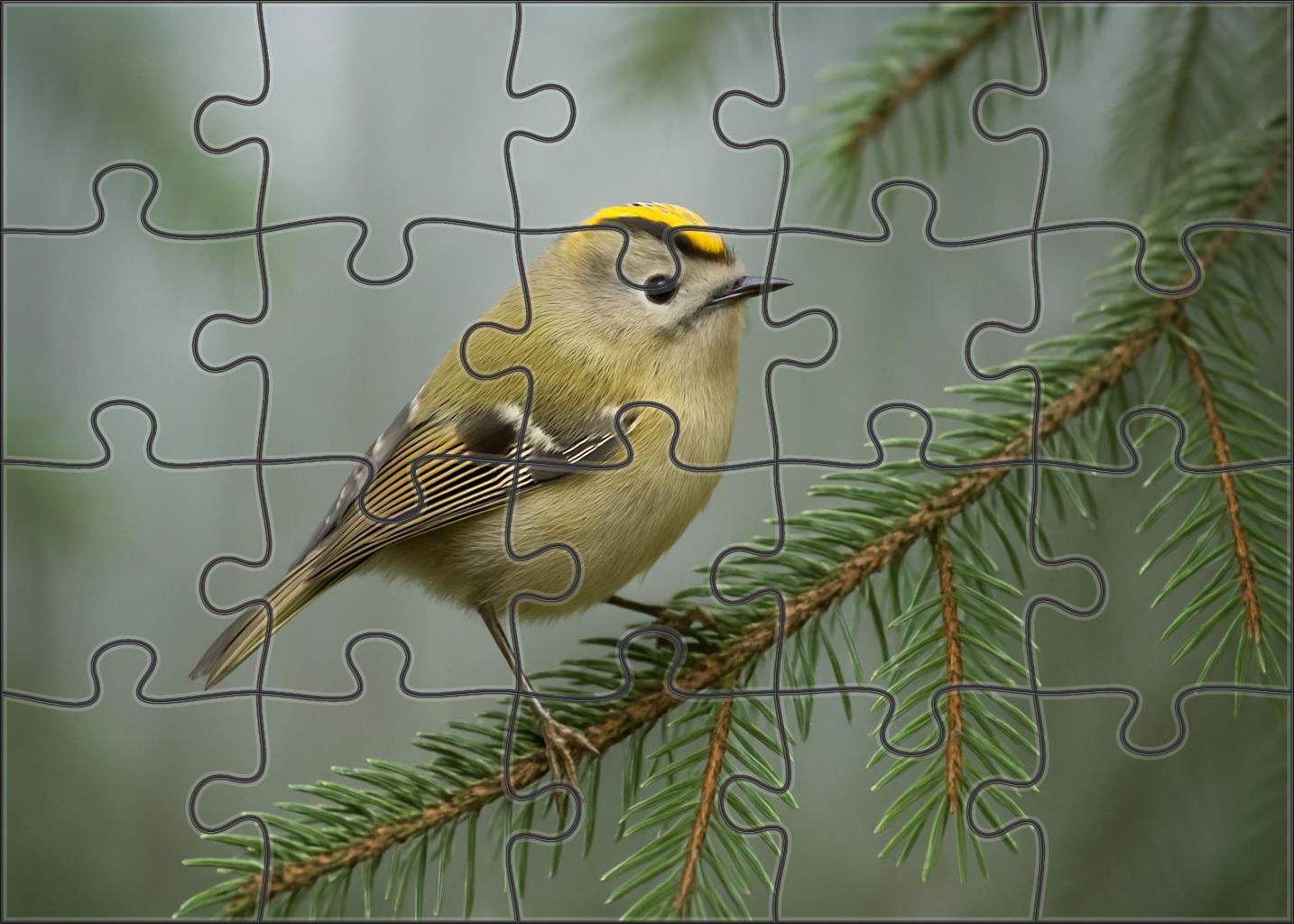 Golden-crowned Kinglet Tiny Woodland Sprite Large Format Puzzle