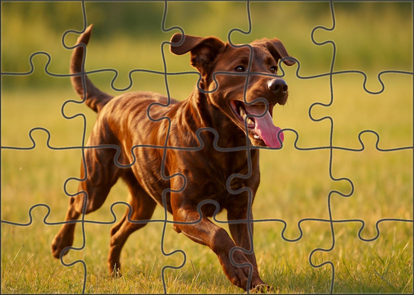 Chocolate Swirl Puzzle Challenge