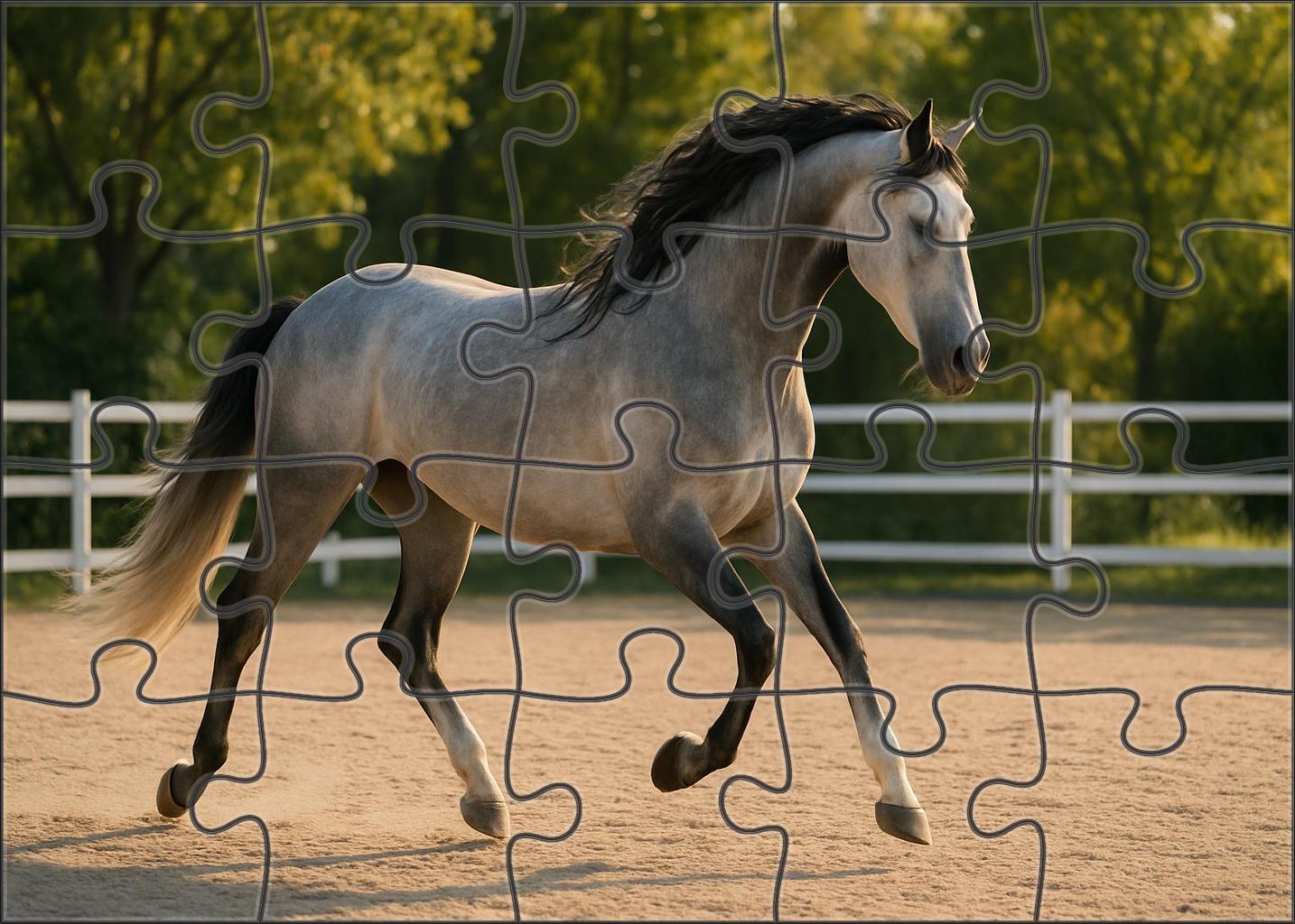 Silver Moonlight Elegant Gray Warmblood With Fluid Movement And Calm Temperament Easy Puzzles