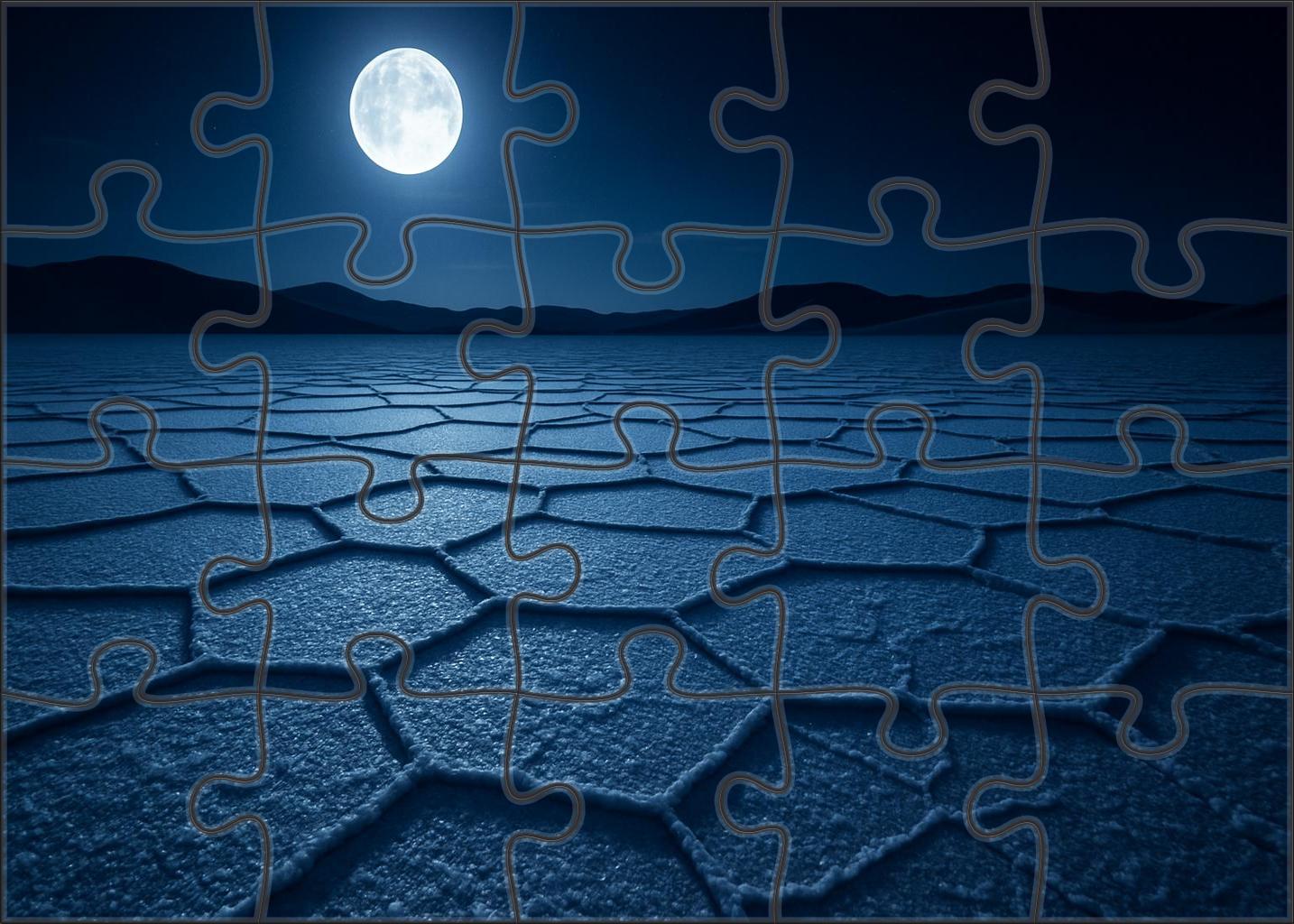 Silver Mirage Basin Moonlit Salt Flats Sparkling Like Diamonds Premium Puzzle Pieces