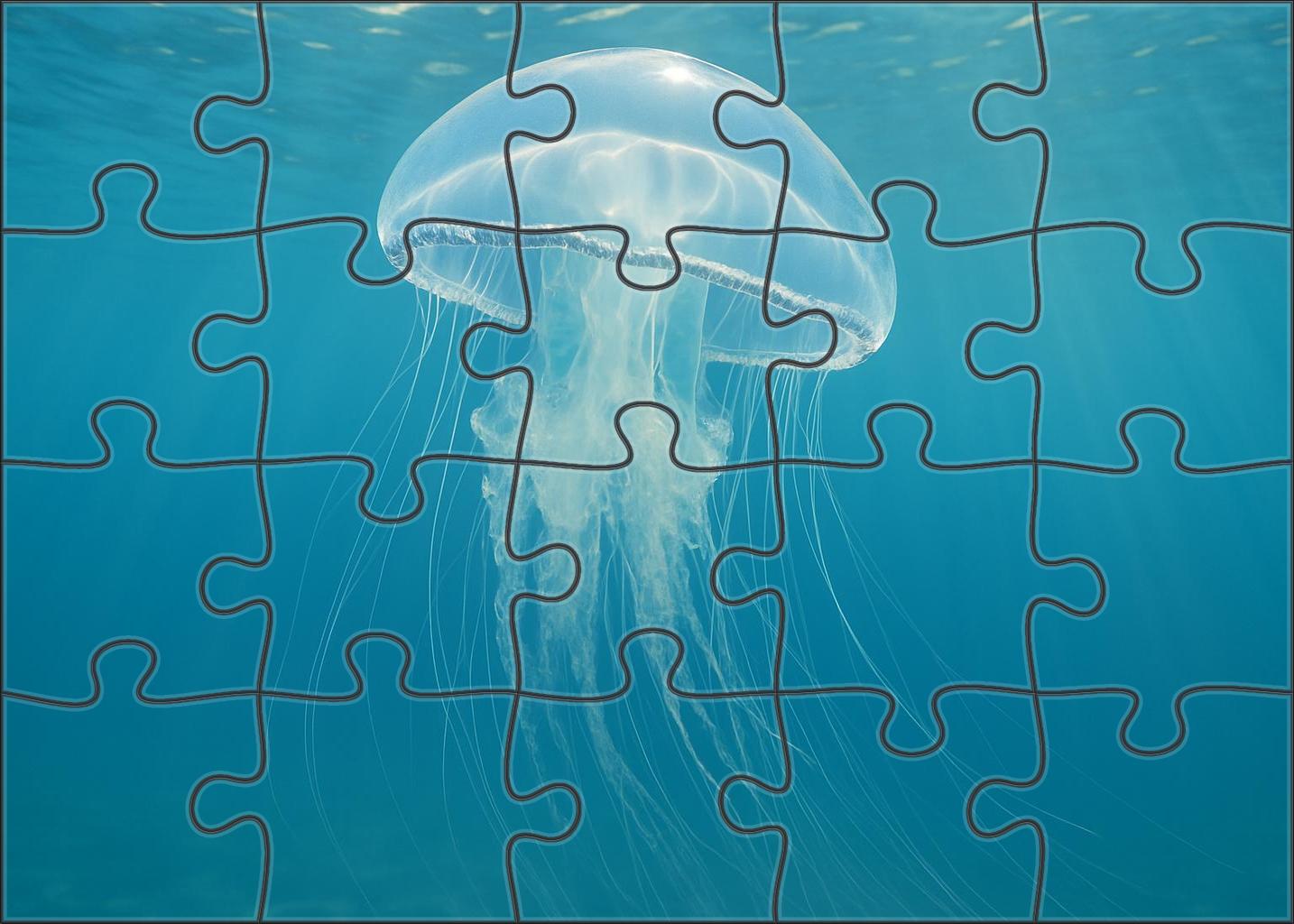 Silver Veil Jellyfish Graceful Pelagic Drifter Family Puzzles