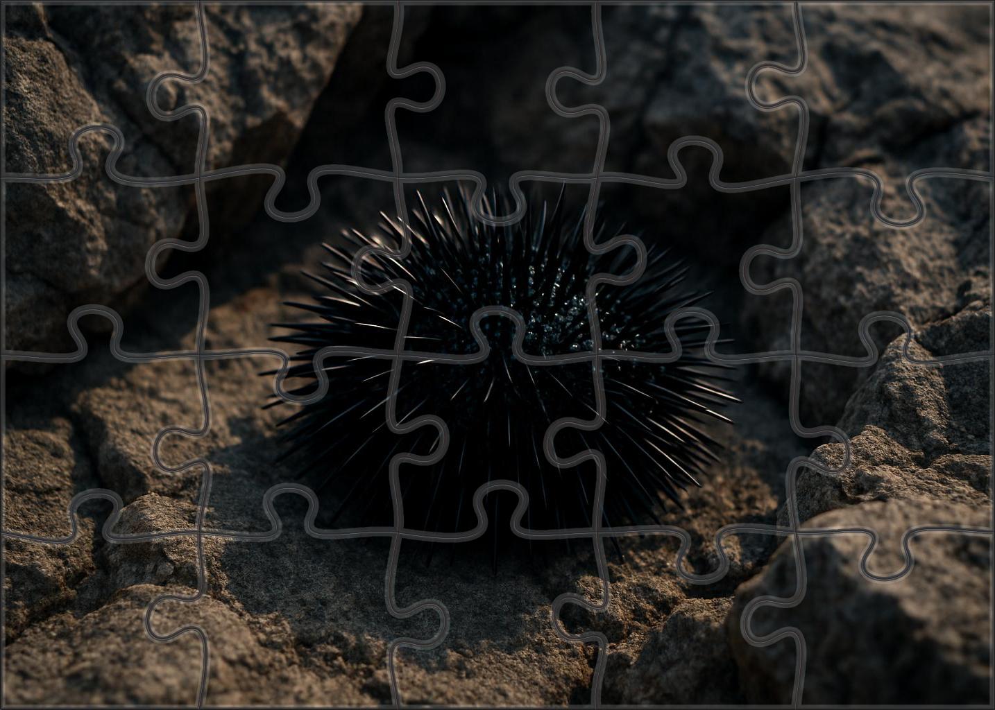 Obsidian Spine Urchin Dark-spined Benthic Grazer 1000 Piece Puzzle