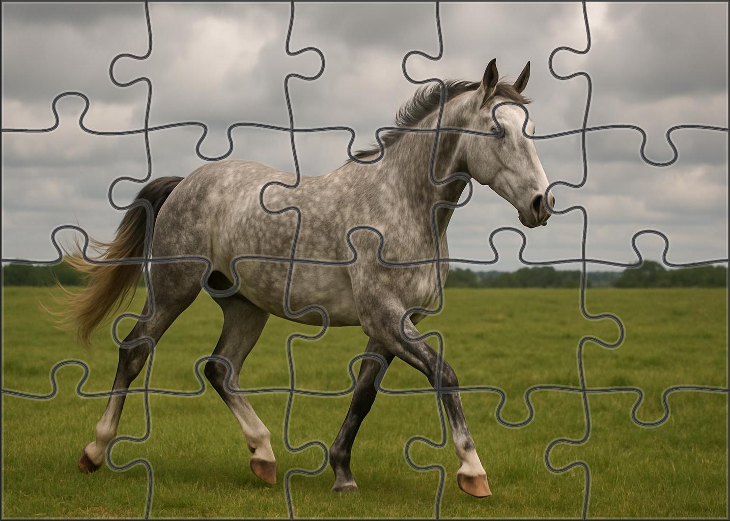 Dapple Mist Soft Gray Gelding With Expressive Movement Puzzle For Adults