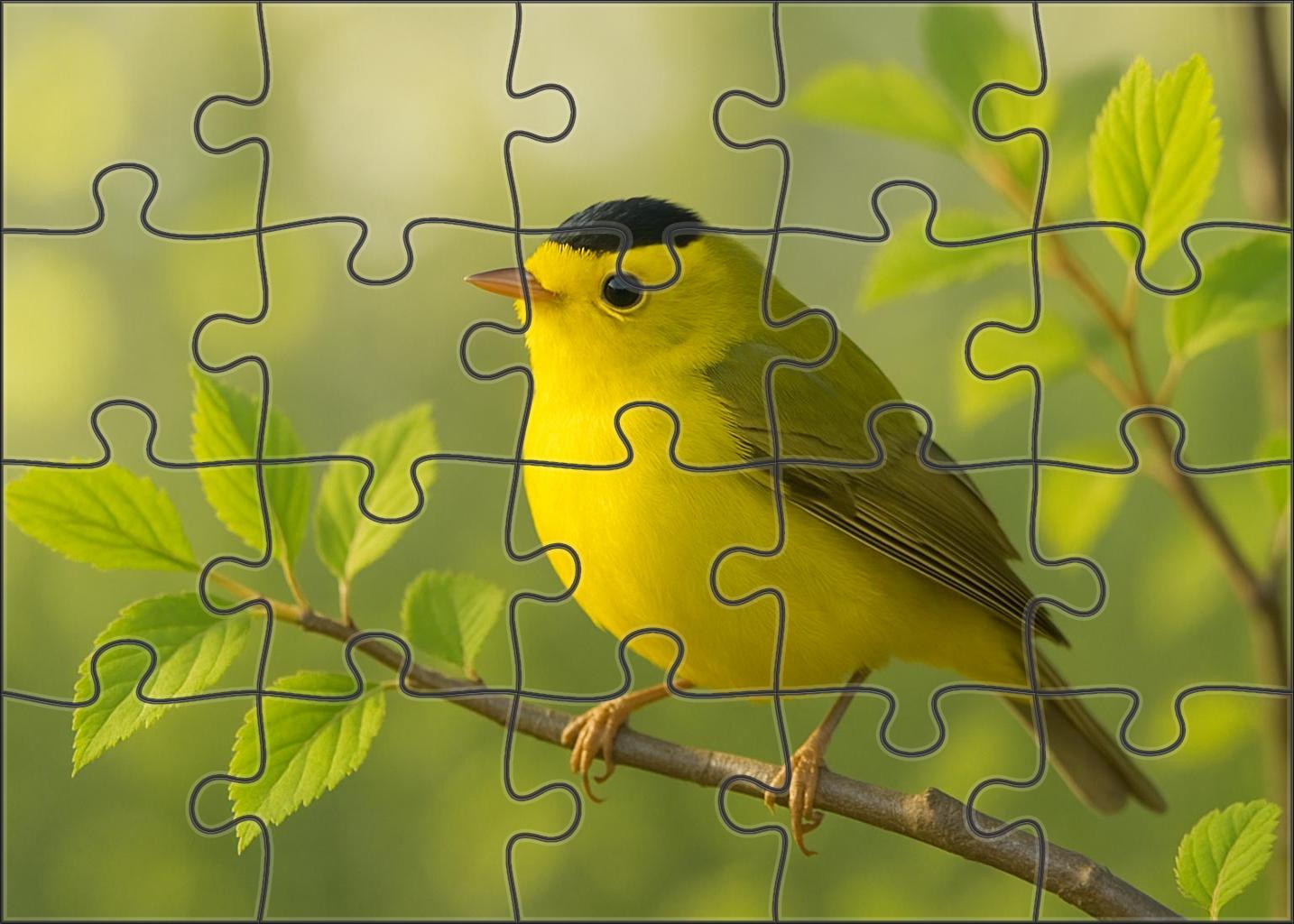 Wilsons Warbler Little Flash Of Yellow Puzzle Fun