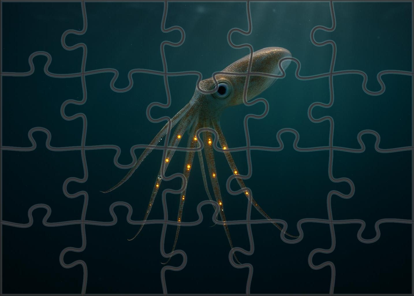 Amberglow Tentacle Squid Luminescent Hunter Of The Twilight Depths 200 Piece Puzzle